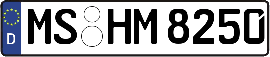 MS-HM8250