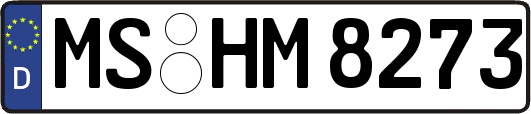 MS-HM8273