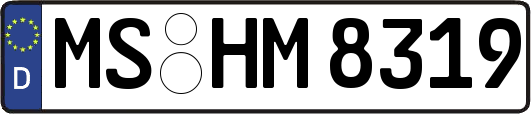 MS-HM8319