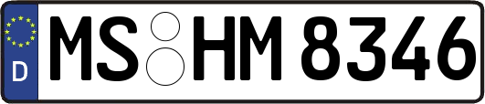 MS-HM8346