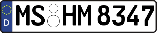 MS-HM8347