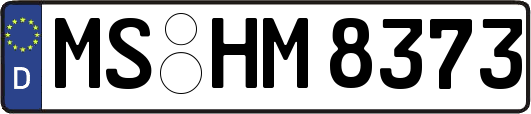 MS-HM8373