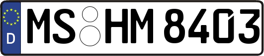 MS-HM8403