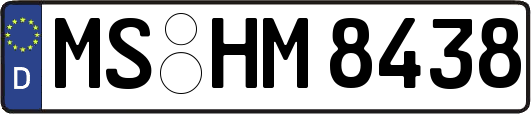 MS-HM8438