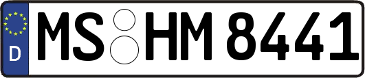 MS-HM8441
