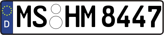 MS-HM8447