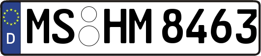 MS-HM8463