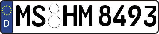 MS-HM8493