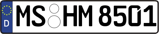 MS-HM8501