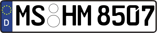 MS-HM8507