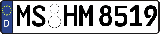 MS-HM8519