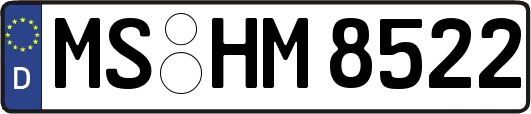 MS-HM8522