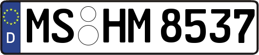 MS-HM8537