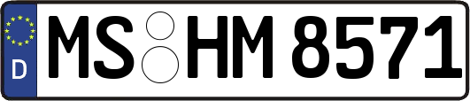MS-HM8571