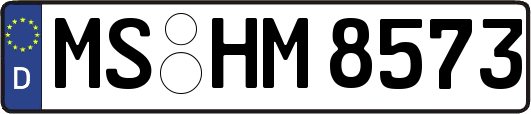 MS-HM8573