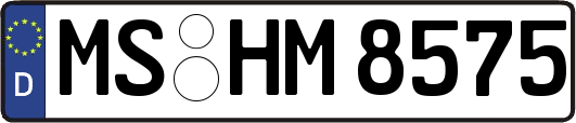 MS-HM8575