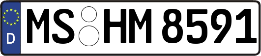 MS-HM8591