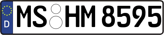 MS-HM8595