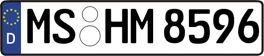 MS-HM8596