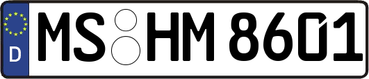 MS-HM8601