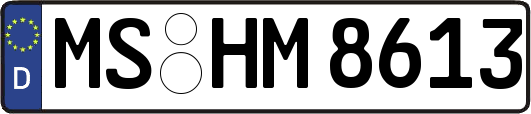 MS-HM8613