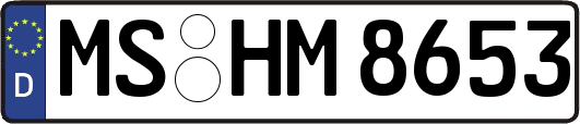 MS-HM8653