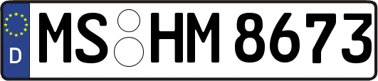 MS-HM8673