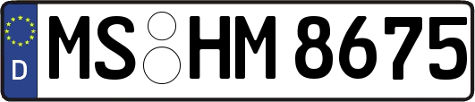 MS-HM8675
