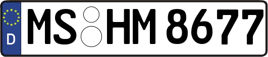 MS-HM8677