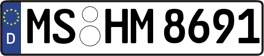MS-HM8691