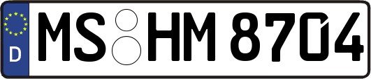 MS-HM8704