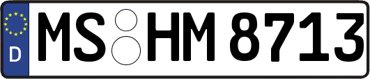 MS-HM8713