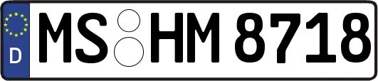 MS-HM8718