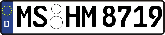 MS-HM8719