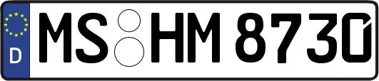 MS-HM8730