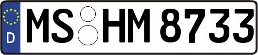 MS-HM8733