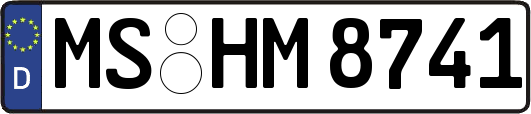 MS-HM8741