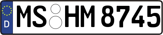 MS-HM8745