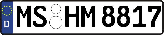 MS-HM8817