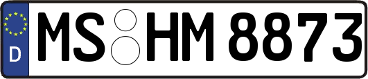 MS-HM8873