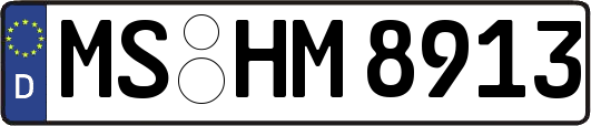 MS-HM8913
