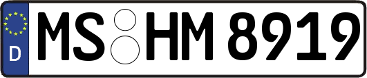 MS-HM8919