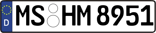 MS-HM8951