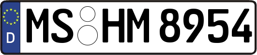 MS-HM8954