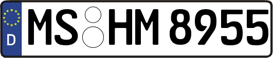 MS-HM8955