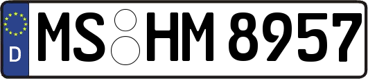 MS-HM8957