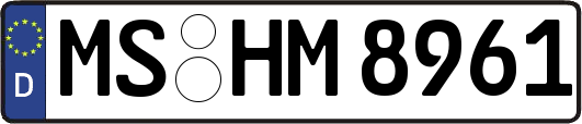 MS-HM8961