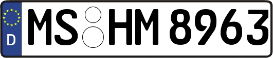 MS-HM8963
