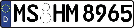 MS-HM8965