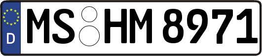 MS-HM8971